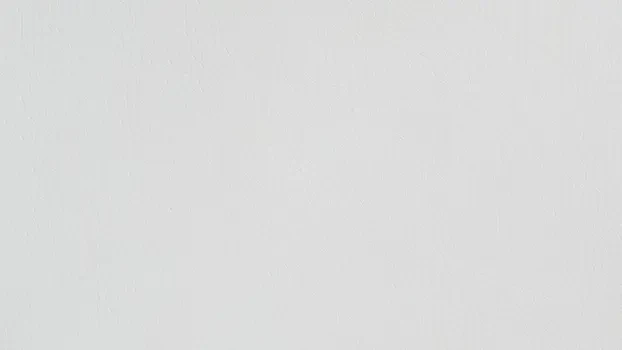 Dillon Polyurethane - Snow