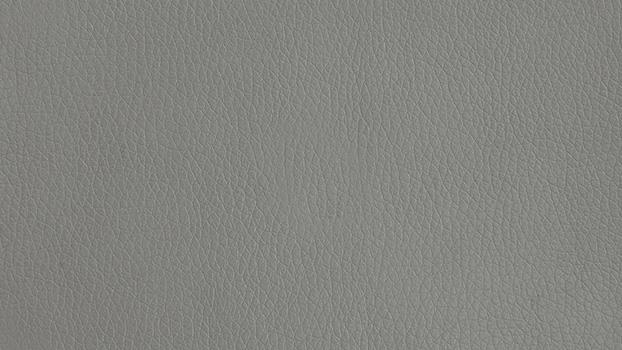 Dillon Polyurethane - Steel