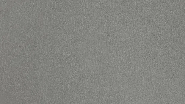 Dillon Polyeurethane - Steel