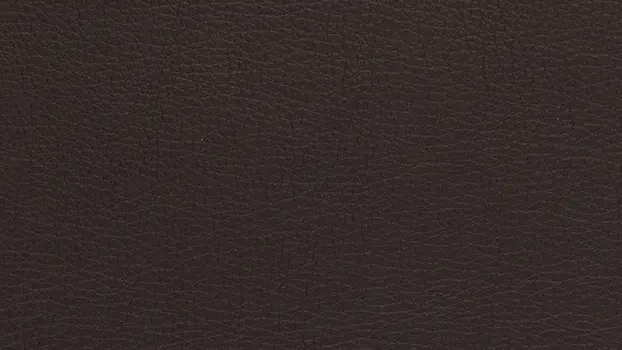Espresso Leather