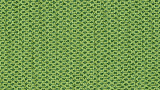 Colored Mesh Fabric - Green