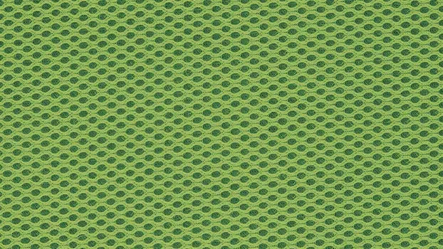 Colored Mesh Fabric - Green