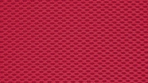Colored Mesh Fabric - Red