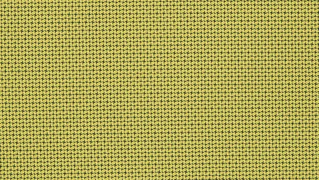 Dove Fabric - Olive