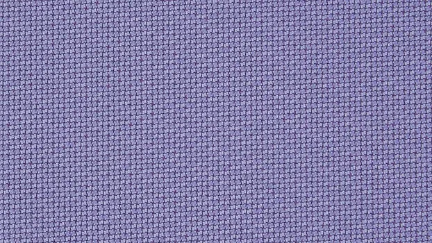Dove Fabric - Violet