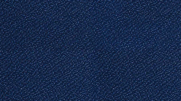 Icon Fabric - Navy