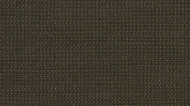 Ridgecrest Fabric - Chocolate