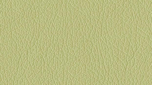 Castillo Honeydew