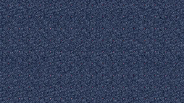 Transport Fabric - Rapids