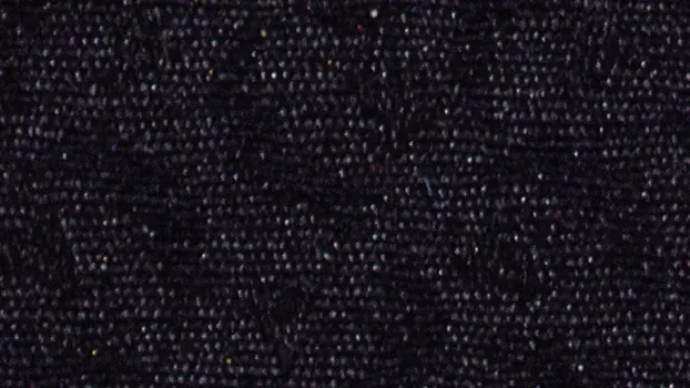 Trinket Fabric - Ebony