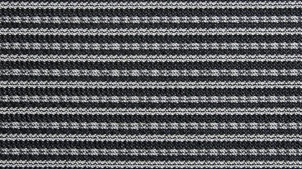 Charcoal VF Mesh - Back