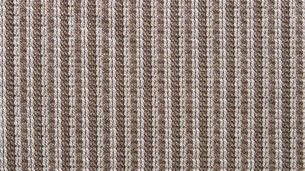 Latte VF Mesh - Back