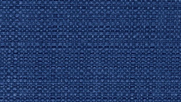 Woven Fabric - Indigo
