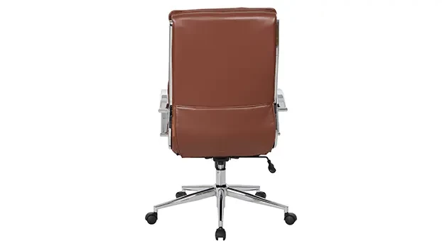 Saddle - Rear View with Armsleeves Removed