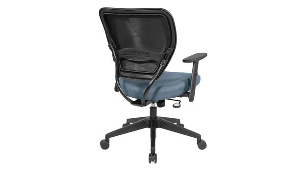 Blue Back Left View