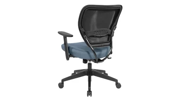 Blue Back Right View