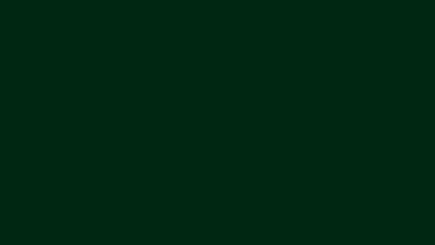 Vinyl - Green