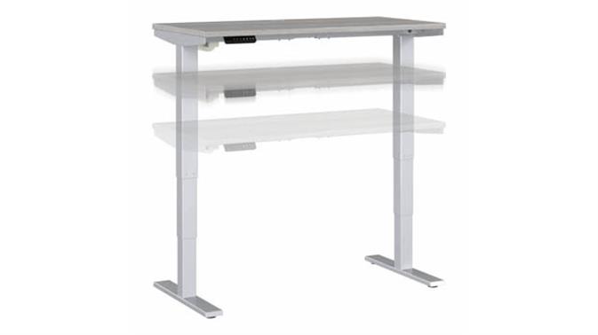 Platinum Gray / Silver Base