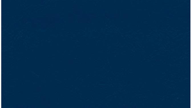 Navy Vinyl