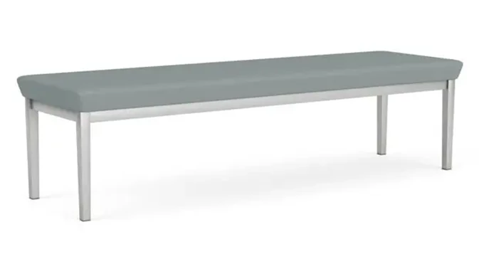 Dillon Lucid / Silver Frame