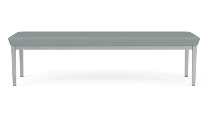 Dillon Lucid / Silver Frame