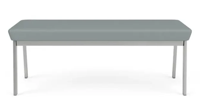 Dillon Lucid / Silver Frame