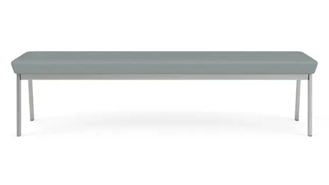 Dillon Lucid / Silver Frame