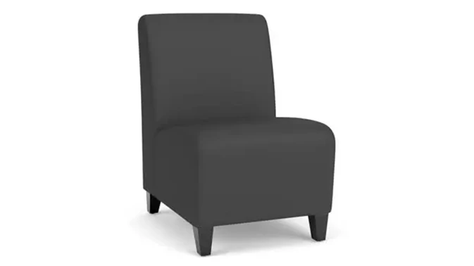 Dillon Graphite Upholstery / Black Finish