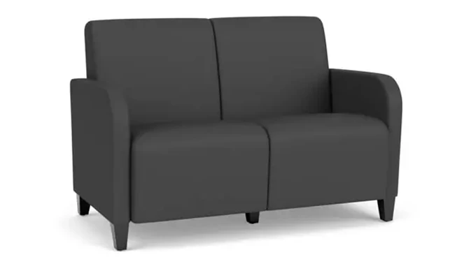 Dillon Graphite Upholstery / Black Finish