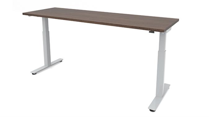 Modern Walnut / Silver