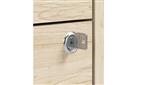 Lock Detail