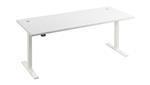 White/White Base