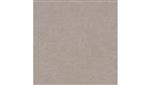 Warm Beige