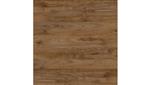 Fresh Walnut