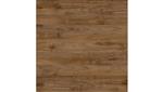 Fresh Walnut
