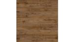 Fresh Walnut
