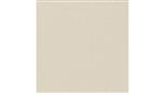 Parchment Texture