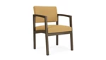 Bronze Frame / Open House Fabric - Gold