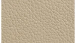 Taupe Leather