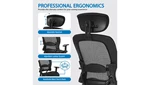 Ergonomics