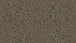FreeFlex Fabric - Camel