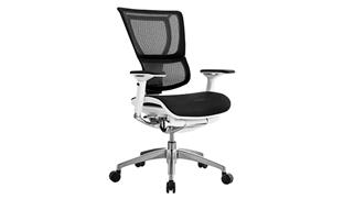 Office Chairs Eurotech Black Mesh Ergonomic Chair