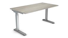Standing Height Desks WFB Designs 60in x 30in Height Adjustable Desk with 2 Stage Motor