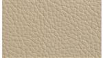 Taupe Leather