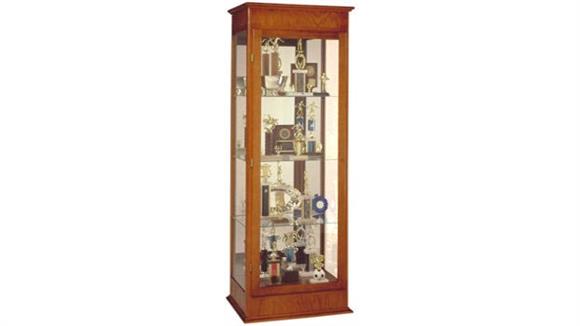 Display Cabinets Waddell Display Cabinet with Hinged Door