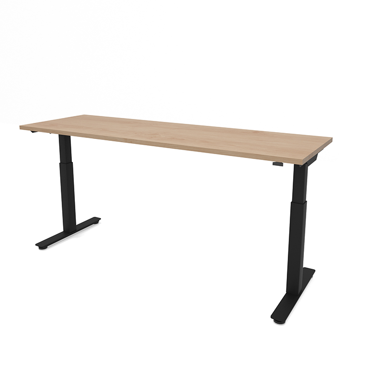 6ft x 24in Dual Motor 3 Stage Adjustable Height Sit to Stand Desk by PBD Furniture