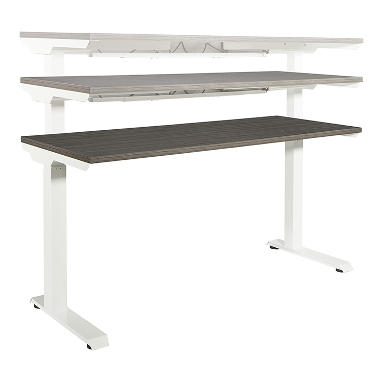 48in x 24in Height Adjustable Desk with 2 Stage Motor by WFB Designs