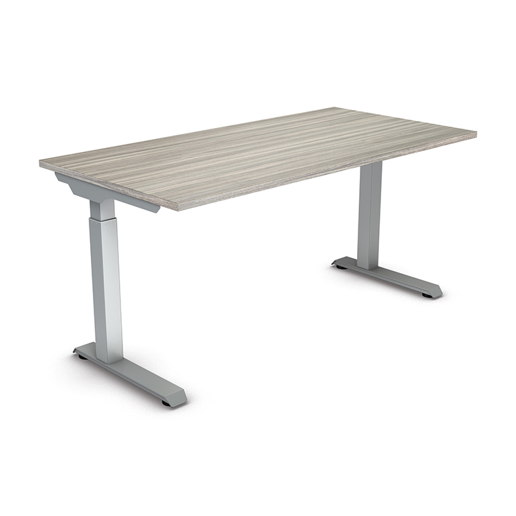 60in x 30in Height Adjustable Desk with 2 Stage Motor by WFB Designs