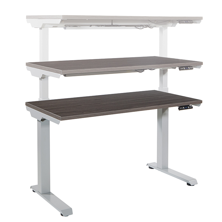 48in x 24in Height Adjustable Desk with 3 Stage Motor by WFB Designs