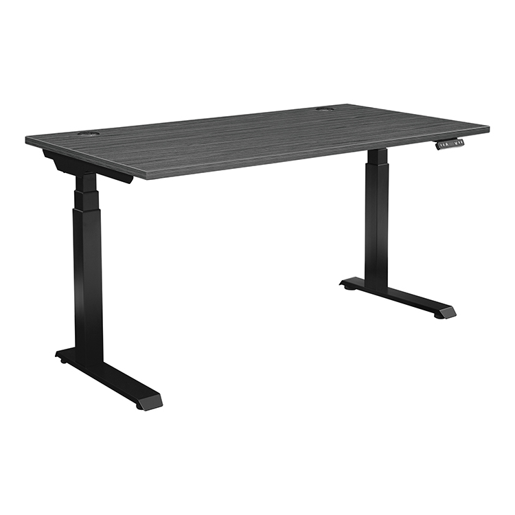 60in x 30in Height Adjustable Desk with 3 Stage Motor by WFB Designs